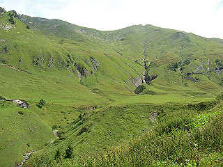 dsc01804_thumb.jpg