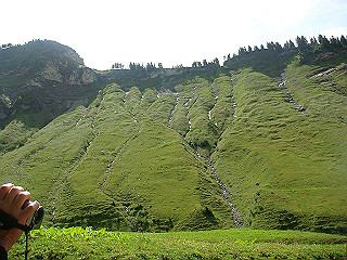 dsc01807_thumb.jpg