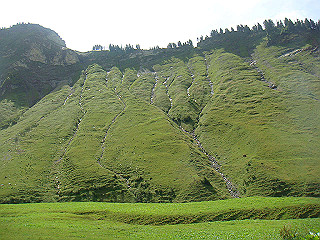 dsc01808_thumb.jpg