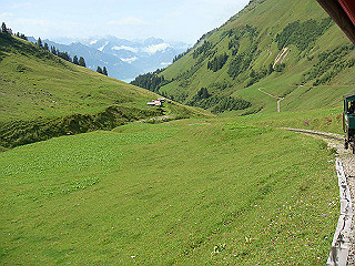 dsc01810_thumb.jpg