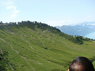 dsc01816_thumb.jpg