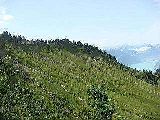 dsc01818_thumb.jpg