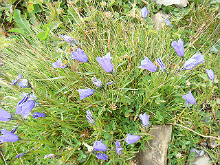 dsc01860_thumb.jpg