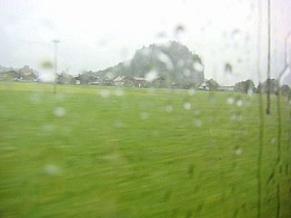 dsc01877_thumb.jpg