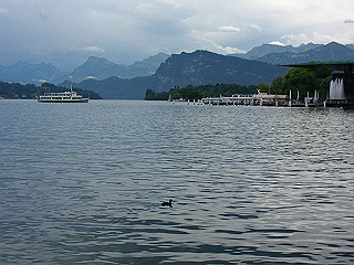 pic_0235_thumb.jpg