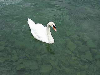 pic_0236_thumb.jpg