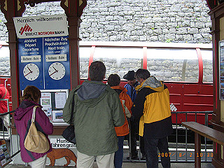rimg0981_thumb.jpg