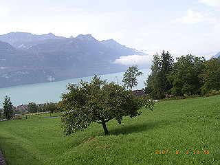 rimg1044_thumb.jpg