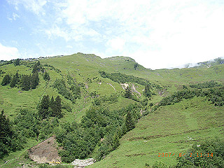 rimg1067_thumb.jpg