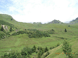 rimg1068_thumb.jpg