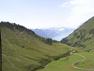 rimg1091_thumb.jpg