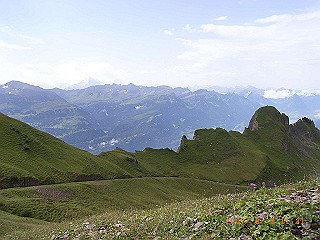 rimg1112_thumb.jpg