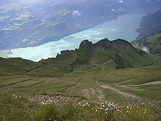 rimg1174_thumb.jpg