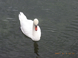 rimg1296_thumb.jpg