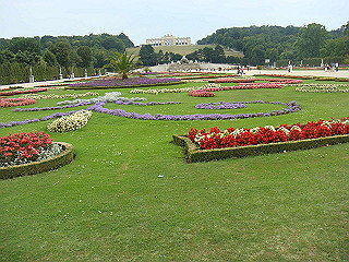 dsc01971_thumb.jpg