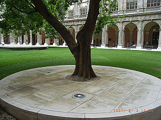 rimg1726_thumb.jpg