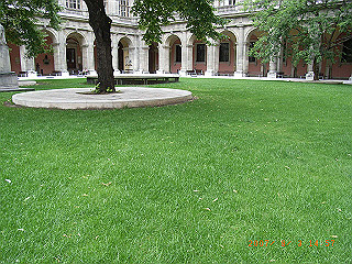 rimg1739_thumb.jpg