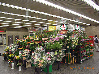 rimg2153_thumb.jpg