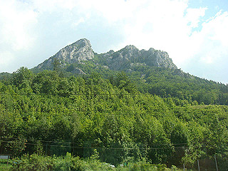 dsc02045_thumb.jpg
