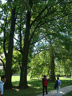 dsc02066_thumb.jpg