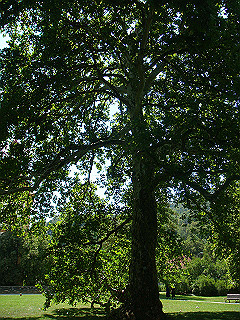 dsc02072_thumb.jpg