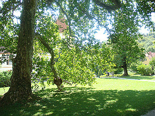 dsc02073_thumb.jpg