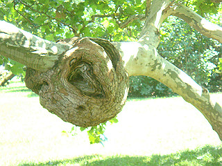 dsc02075_thumb.jpg