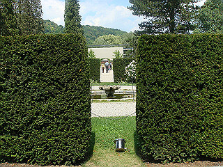 dsc02078_thumb.jpg
