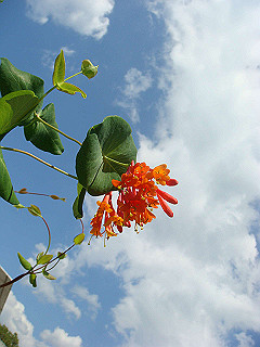 dsc02082_thumb.jpg