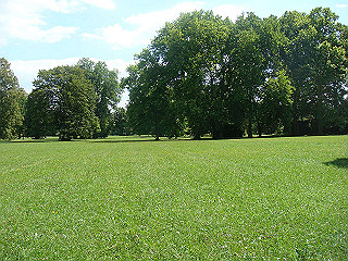 dsc02087_thumb.jpg