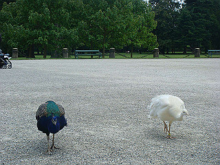 dsc02131_thumb.jpg