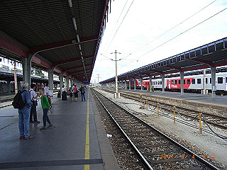 rimg0229_thumb.jpg