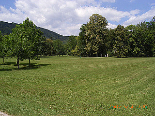 rimg0381_thumb.jpg