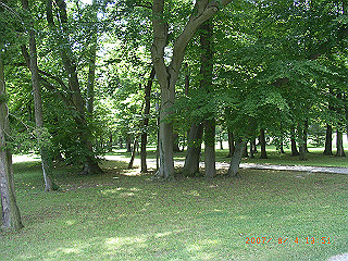 rimg0383_thumb.jpg