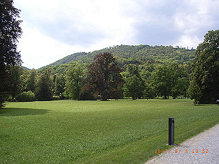 rimg0388_thumb.jpg