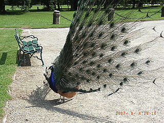 rimg0445_thumb.jpg