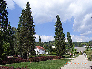 rimg0455_thumb.jpg