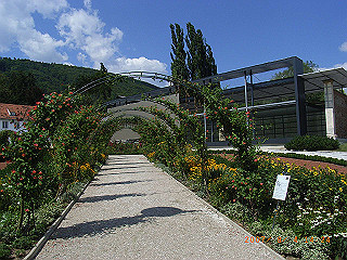 rimg0457_thumb.jpg