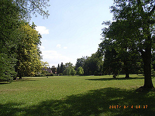 rimg0461_thumb.jpg