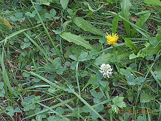 rimg0462_thumb.jpg