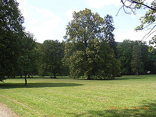 rimg0463_thumb.jpg
