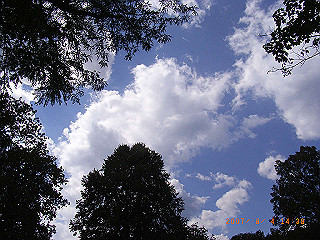 rimg0464_thumb.jpg