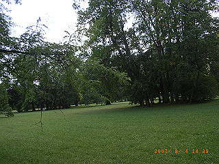 rimg0465_thumb.jpg