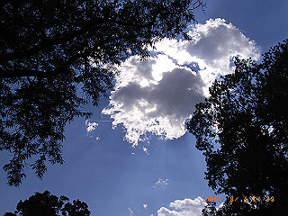 rimg0467_thumb.jpg