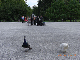 rimg0567_thumb.jpg