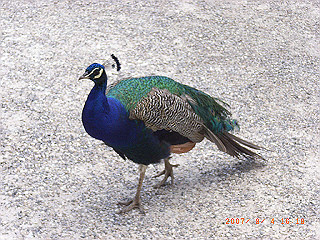 rimg0568_thumb.jpg