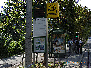 rimg0595_thumb.jpg