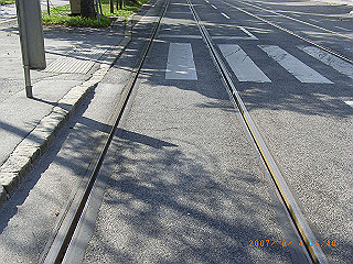 rimg0596_thumb.jpg