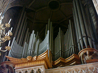 dsc02247_thumb.jpg