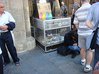 dsc02248_thumb.jpg